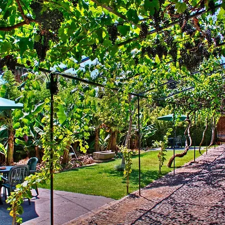 Ourmadeira - Casa Vinhas, Charming شقة *