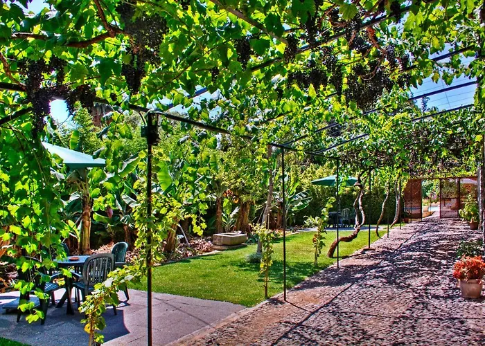 Ourmadeira - Casa Vinhas, Charming 아파트 *